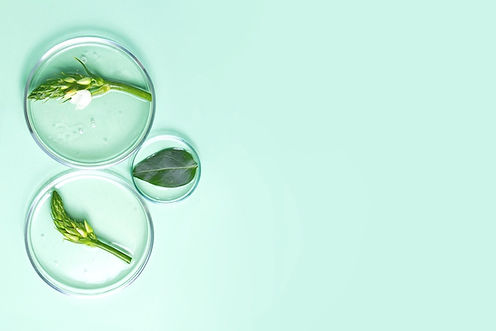 two petri dishes, leaves, green background