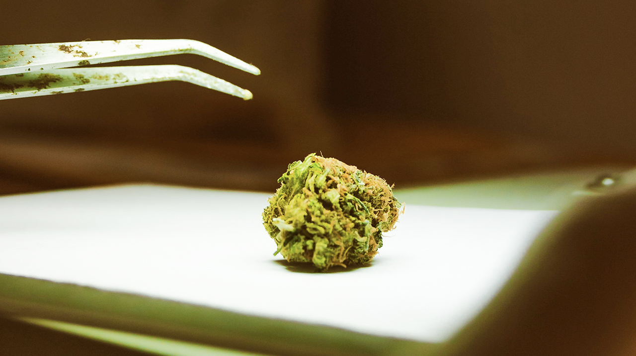 Mythbusting: Medical Cannabis Is a Slippery Slope