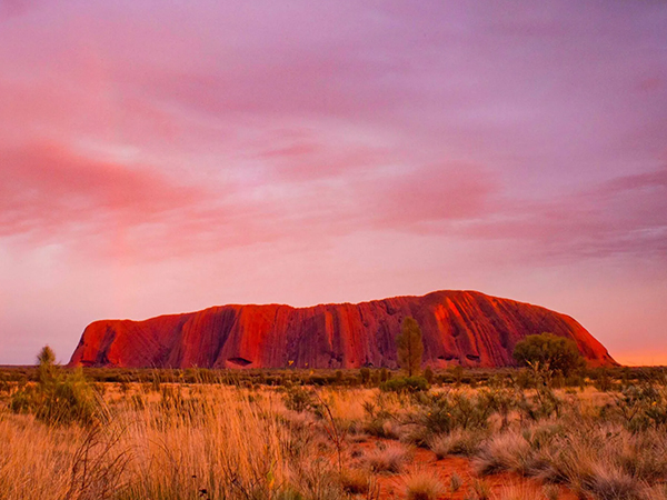 Medical Cannabis in Darwin: Access, Eligibility in the Northern Territory