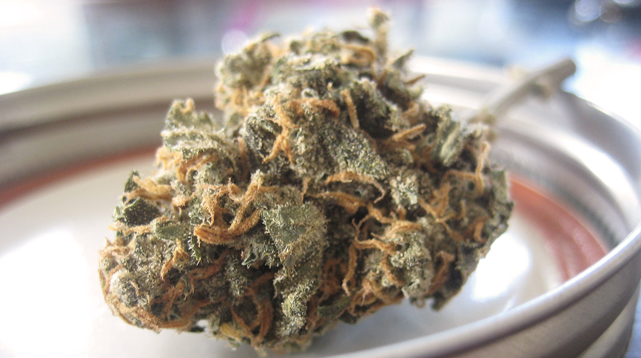 Sativa & Indica: Differences, Effects And More